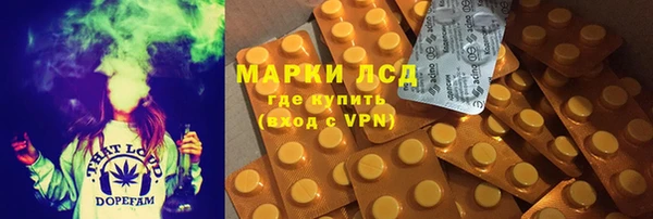 ПСИЛОЦИБИНОВЫЕ ГРИБЫ Алзамай