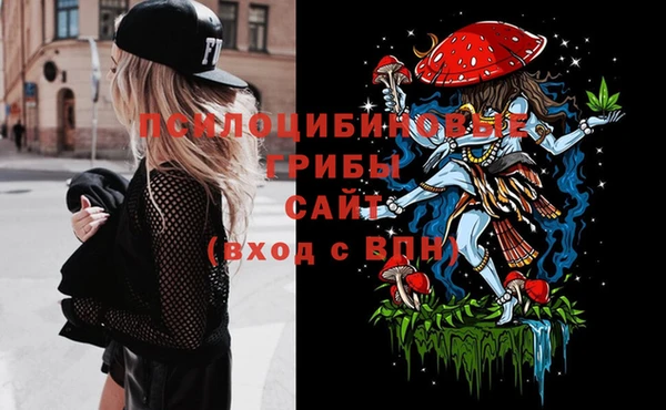 ПСИЛОЦИБИНОВЫЕ ГРИБЫ Алзамай