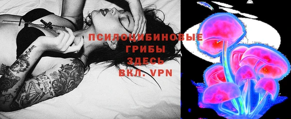 ПСИЛОЦИБИНОВЫЕ ГРИБЫ Алзамай