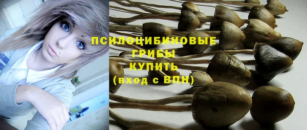 прущая мука Алексин
