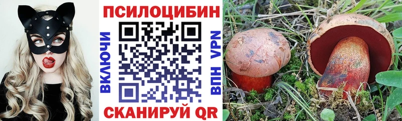как найти закладки  Почеп  Псилоцибиновые грибы прущие грибы 